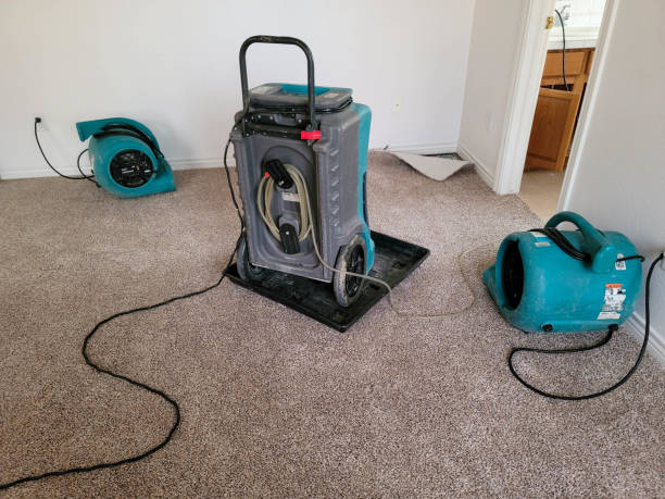 Best 24/7 water damage repair  in Sagamore, MA