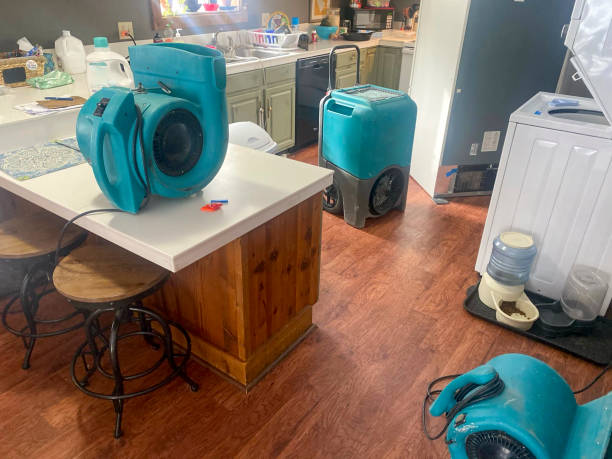 Best Water damage contractors near me  in Sagamore, MA